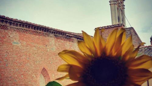 APPARTAMENTS SAN FRANCESCO - Foto 5