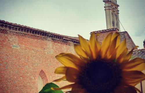 APPARTAMENTS SAN FRANCESCO - Foto 5