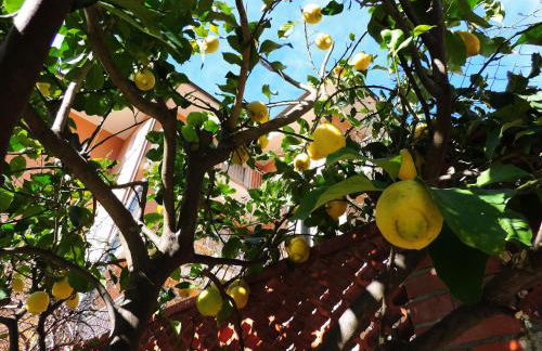 Villa Delle Ciliegie - Foto 54