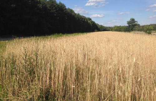 Apartament Kabaty - Foto 12