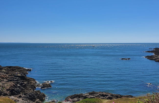 The Mumbles - Bungalow - 2 Bedrooms - Pet Friendly - Photo 23