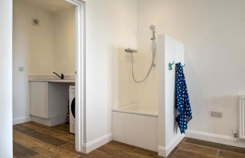 Turnstone - Photo 32