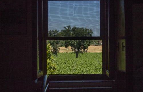 Country House Carmelita - Foto 18