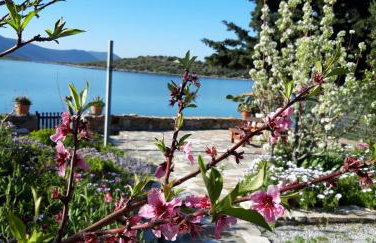 blueline guesthouse - Foto 51