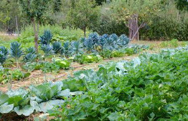 Locanda Casanuova - Foto 24