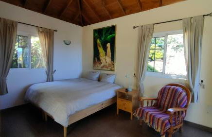 Iraña del bosque - Foto 4