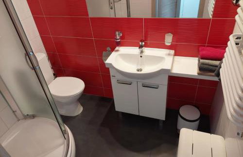 Dolina Miodu - Agro Kaszuby, Sauna, Balia - Foto 8