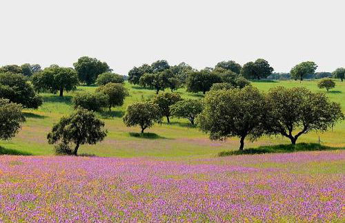 Complejo turístico El Soldado. - Foto 16