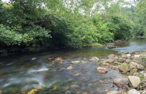 Casas Rurales Pandesiertos - Foto 3