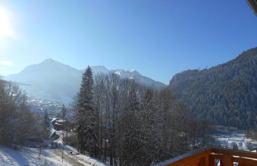 Appartement spacieux 3* - 6 pers avec balcon à Châtel - FR-1-198-184 - Foto 12