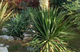 Villa Malini - Foto 35