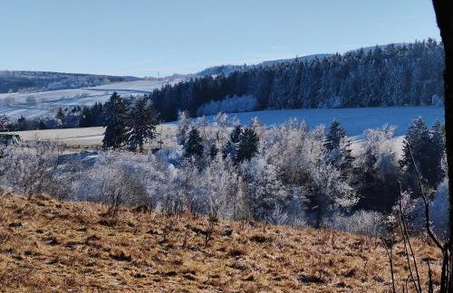 Siódme Niebo domek w górach - Foto 71