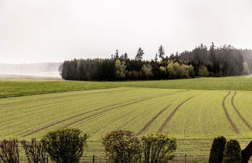 Ferienwohnung Fichtelblick - Foto 42