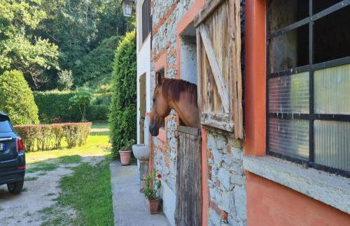 Timeless l' Antico Mulino Della Bozza - Happy Rentals - Foto 30