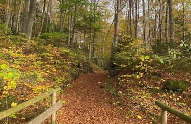 Casa Natur Pur, 85m2 mit Garten Sauna - Foto 50