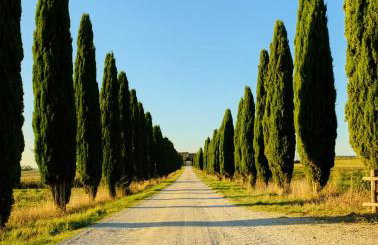 la villa bella vista - Foto 22