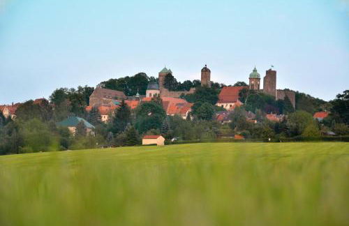 Ferienwohnung Gohrisch - Foto 37