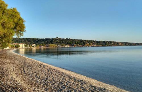 9 Musses ROOMS - Foto 16