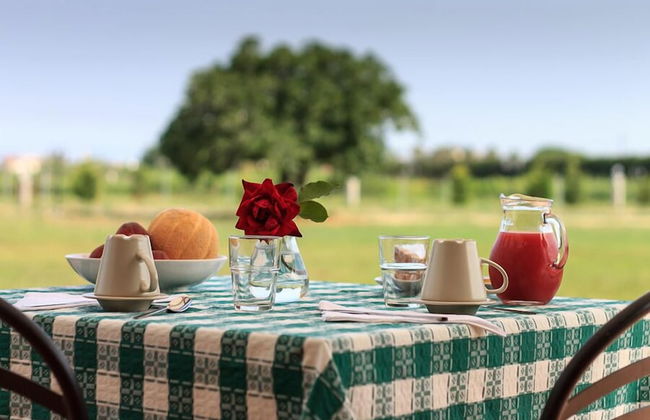 Agriturismo Il Gelsomino Ritrovato - Foto 37