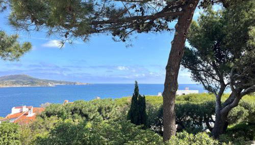 Maison paisible entre mer et montagne à Banyuls-sur-Mer - FR-1-309-515 - Foto 2