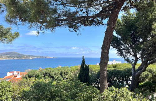 Maison paisible entre mer et montagne à Banyuls-sur-Mer - FR-1-309-515 - Foto 2