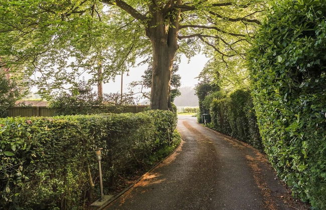 Cozy City Retreat in Bristol With Parking & Patio - Foto 2