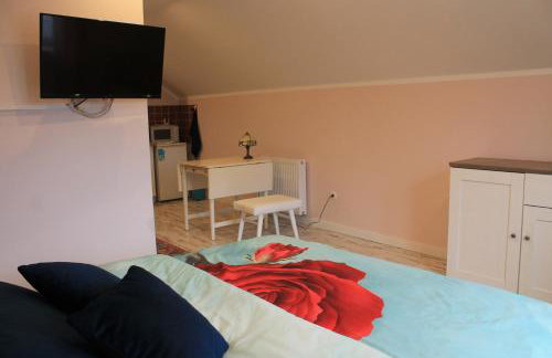 Noclegi Nad Żerdnem - Foto 58