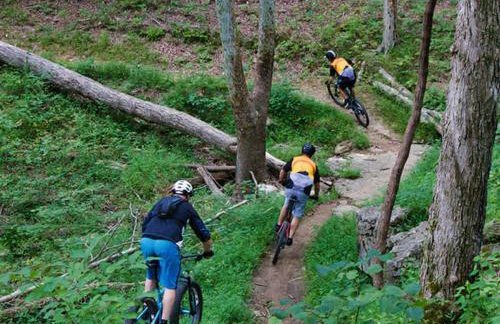 White Pines Lodge- Wooded Retreat - Foto 29