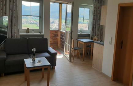 Gasthof Zum Wirt Ferienwohnung Hohenbogenblick - Foto 31