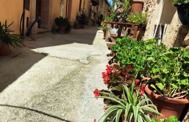 Casa Ornella - Photo 24