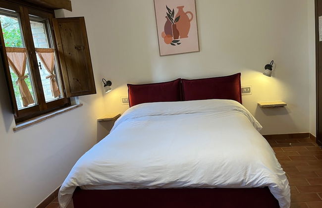 Il Mulino delle Canutole - Foto 8