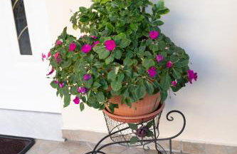 Katherine Home - Foto 16