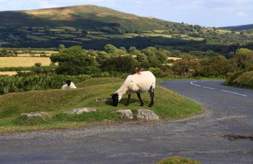 Devoncourt Devoncoast SeaView Apartments - Foto 81