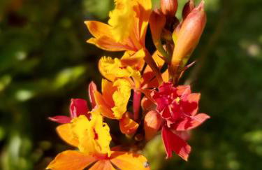 Residencial da Praia 4 - Foto 15