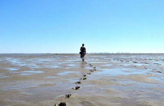 Doppelhaushhlfte in Burhave - Photo 30