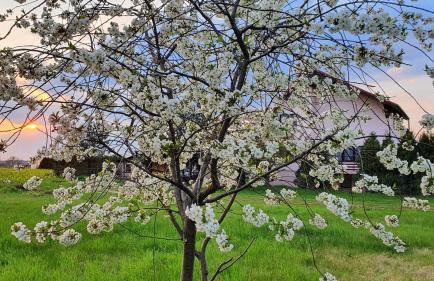 Silence Villa - Foto 27