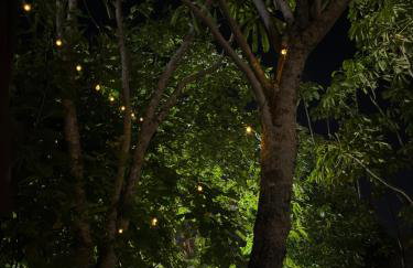 Caminho do mar - Foto 10