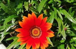 a casa di nonna Tarsilla-entire apartment,5 guests - Foto 42