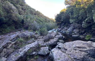 The Green Valley House - Foto 72