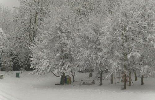 Villa Affenhaus - Foto 25