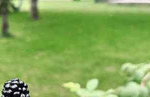 Bliska Wioska- Dom - Foto 7