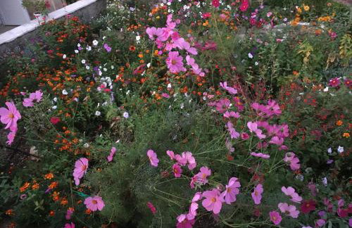 Holiday home Sandra - Foto 48