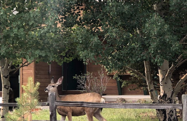 3brmountains & Hot Tubbring The Family - Foto 39