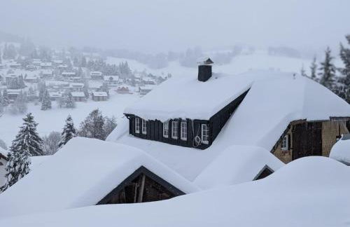 Schwarzwald Chalet Matti in Todtnauberg - Foto 9