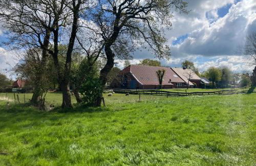 Ferienwohnung Bruns - Foto 9