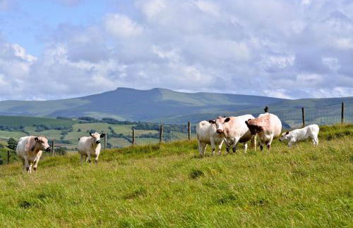 Snug Oak Hut with a view on a Welsh Hill Farm - Photo 13