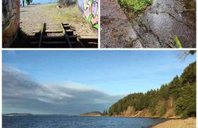 3-Minute JBLM Spacious & Cozy 4BR 2BTH Huge Yard - Foto 37