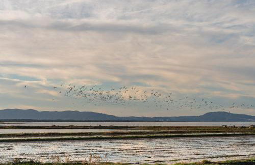 Villa Tommy - Foto 57