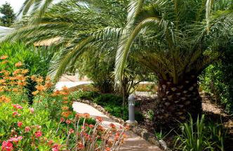 Casa Monte Cristo Apartments - Lemon - Foto 32