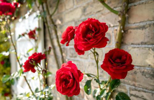 Little Walk Cottage - Foto 19